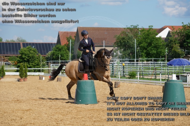 s_K3F07013.JPG